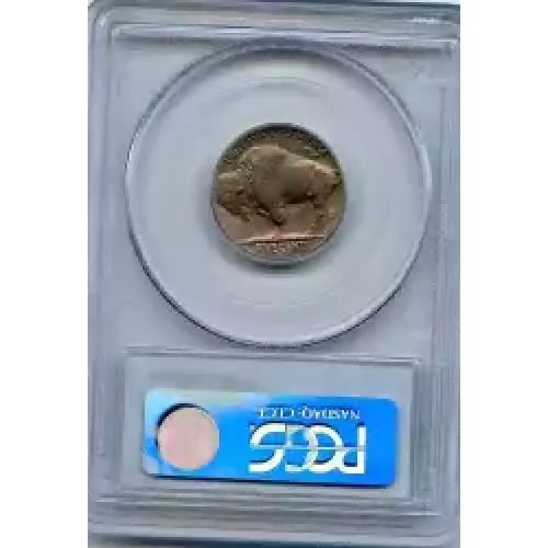 Nickel Five Cent Pieces-Indian Head or Buffalo (3)