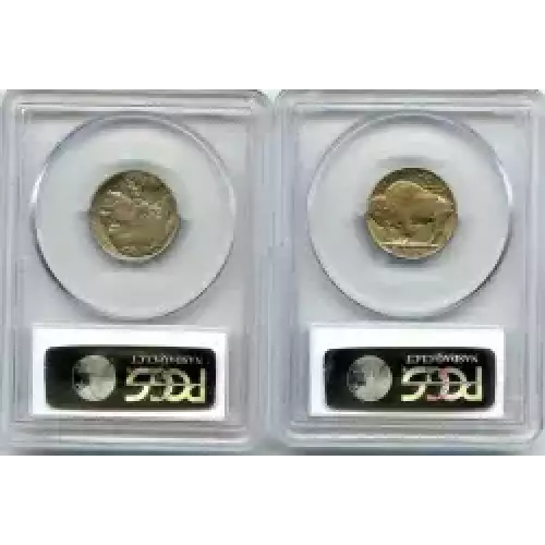 Nickel Five Cent Pieces-Indian Head or Buffalo (3)