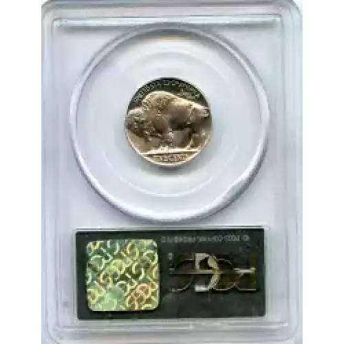 Nickel Five Cent Pieces-Indian Head or Buffalo (3)