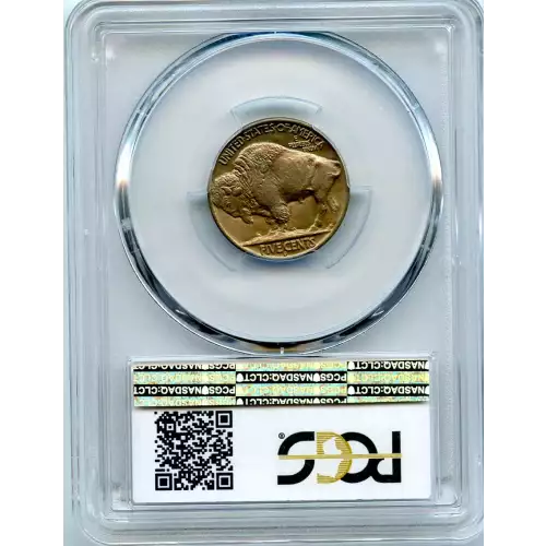 Nickel Five Cent Pieces-Indian Head or Buffalo (3)