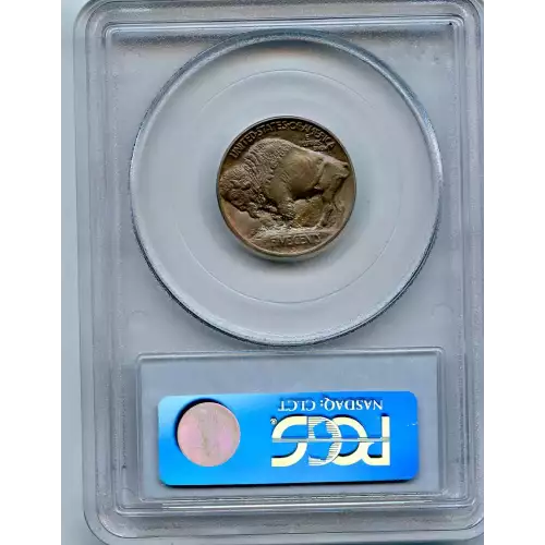 Nickel Five Cent Pieces-Indian Head or Buffalo (3)