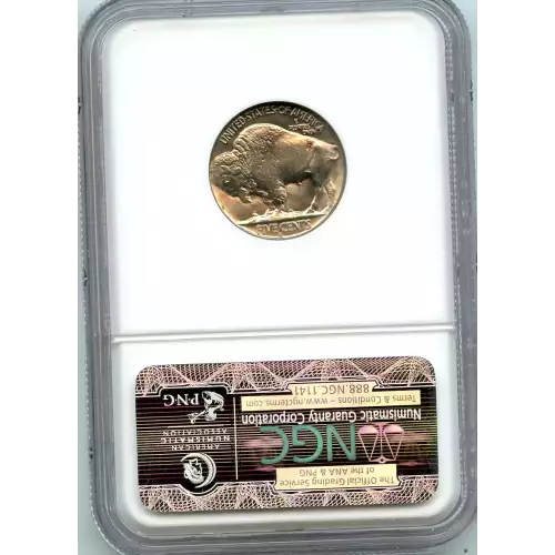 Nickel Five Cent Pieces-Indian Head or Buffalo (3)