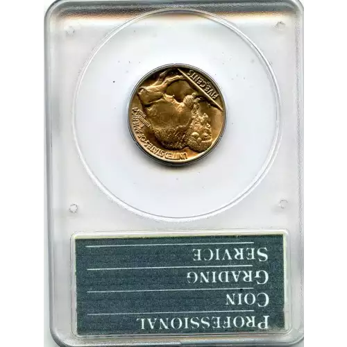 Nickel Five Cent Pieces-Indian Head or Buffalo (3)