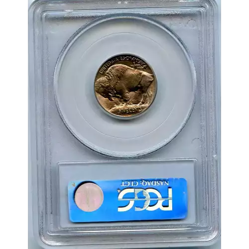 Nickel Five Cent Pieces-Indian Head or Buffalo (3)