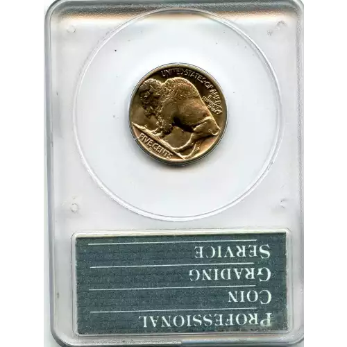 Nickel Five Cent Pieces-Indian Head or Buffalo (3)