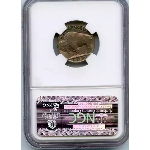 Nickel Five Cent Pieces-Indian Head or Buffalo (3)