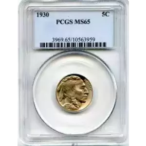 Nickel Five Cent Pieces-Indian Head or Buffalo (3)