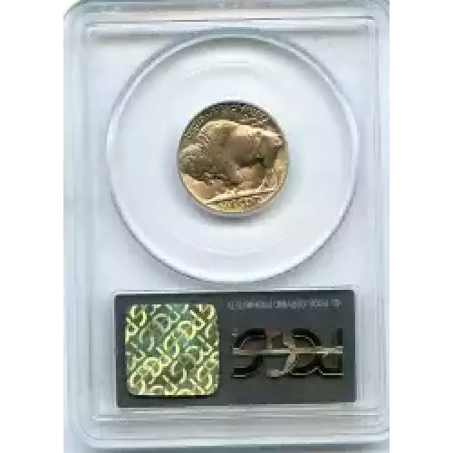 Nickel Five Cent Pieces-Indian Head or Buffalo (3)