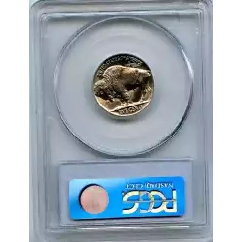 Nickel Five Cent Pieces-Indian Head or Buffalo (3)