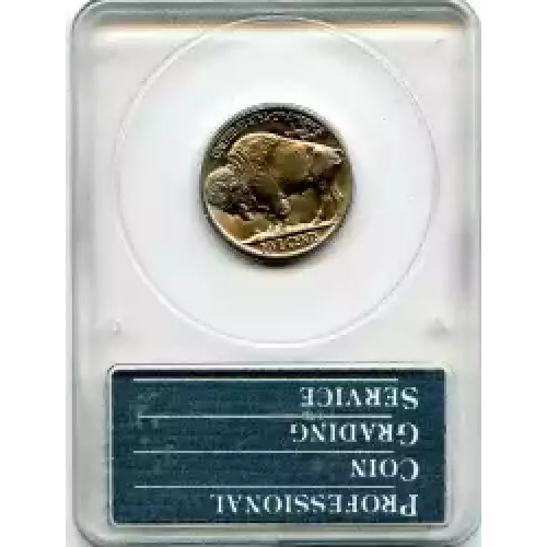 Nickel Five Cent Pieces-Indian Head or Buffalo (3)