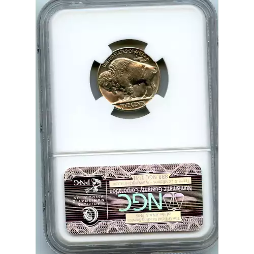 Nickel Five Cent Pieces-Indian Head or Buffalo (3)