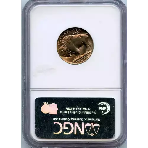 Nickel Five Cent Pieces-Indian Head or Buffalo (3)