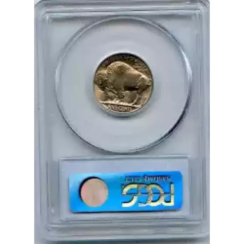 Nickel Five Cent Pieces-Indian Head or Buffalo (3)