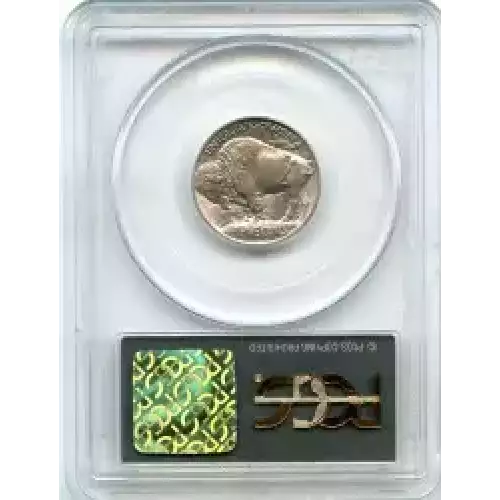 Nickel Five Cent Pieces-Indian Head or Buffalo (3)