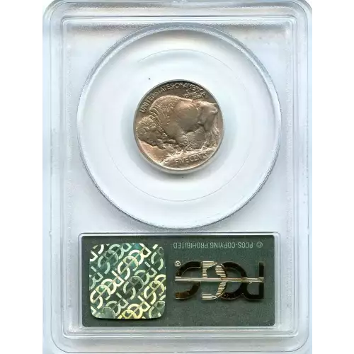 Nickel Five Cent Pieces-Indian Head or Buffalo (3)