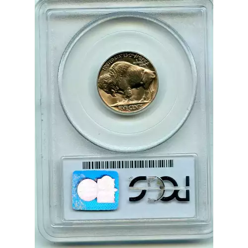 Nickel Five Cent Pieces-Indian Head or Buffalo (3)