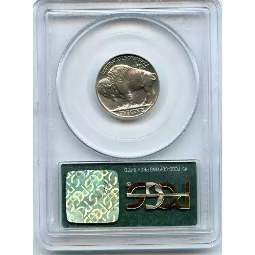 Nickel Five Cent Pieces-Indian Head or Buffalo (3)