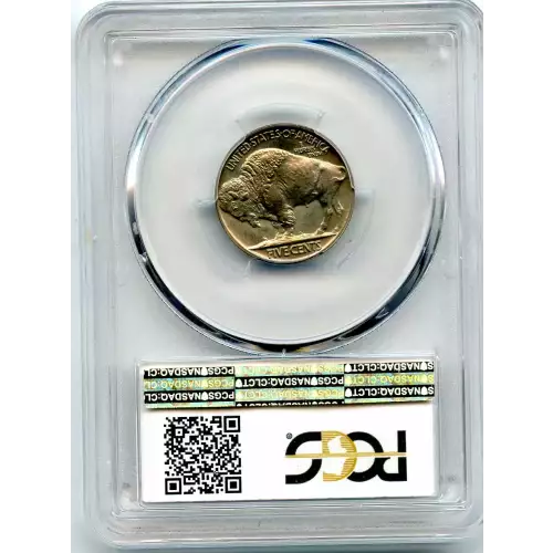 Nickel Five Cent Pieces-Indian Head or Buffalo (3)