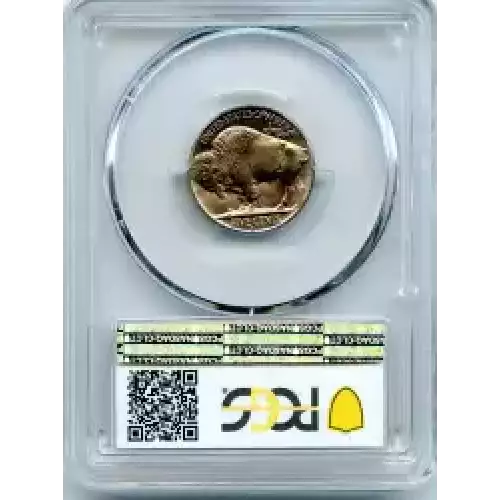 Nickel Five Cent Pieces-Indian Head or Buffalo (3)