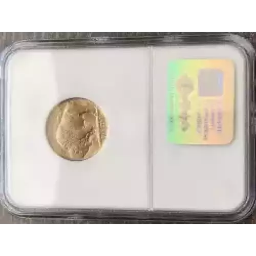 Nickel Five Cent Pieces-Indian Head or Buffalo (3)