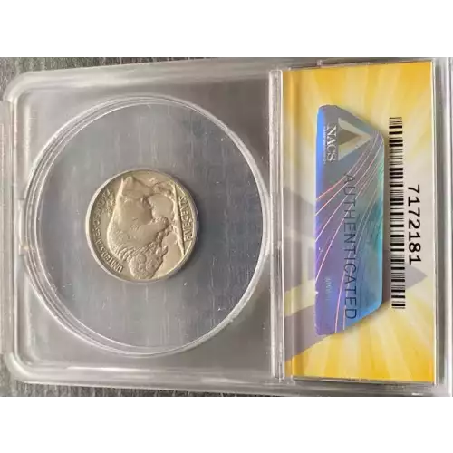 Nickel Five Cent Pieces-Indian Head or Buffalo (3)