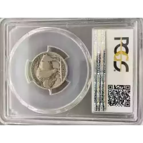 Nickel Five Cent Pieces-Indian Head or Buffalo (3)