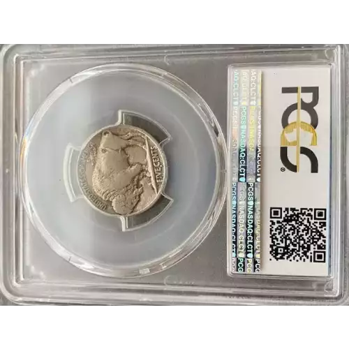 Nickel Five Cent Pieces-Indian Head or Buffalo (3)