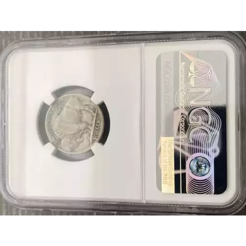 Nickel Five Cent Pieces-Indian Head or Buffalo (3)