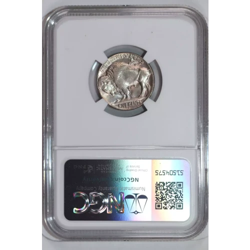 Nickel Five Cent Pieces-Indian Head or Buffalo (2)