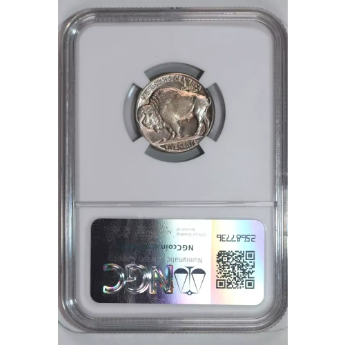 Nickel Five Cent Pieces-Indian Head or Buffalo (2)