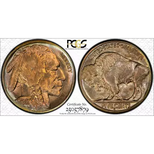 Nickel Five Cent Pieces-Indian Head or Buffalo (2)