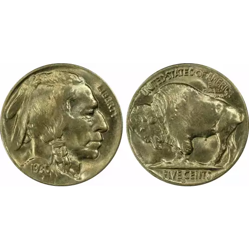 Nickel Five Cent Pieces-Indian Head or Buffalo (2)