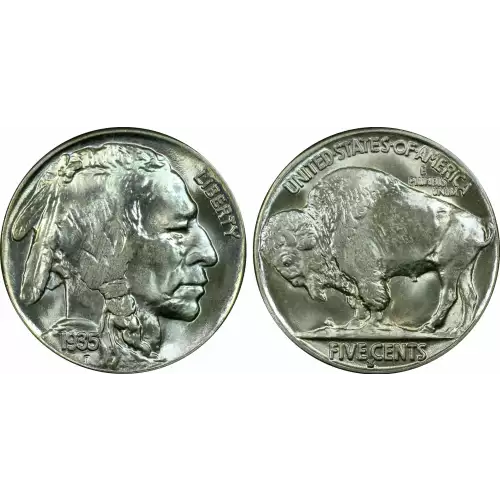 Nickel Five Cent Pieces-Indian Head or Buffalo (2)