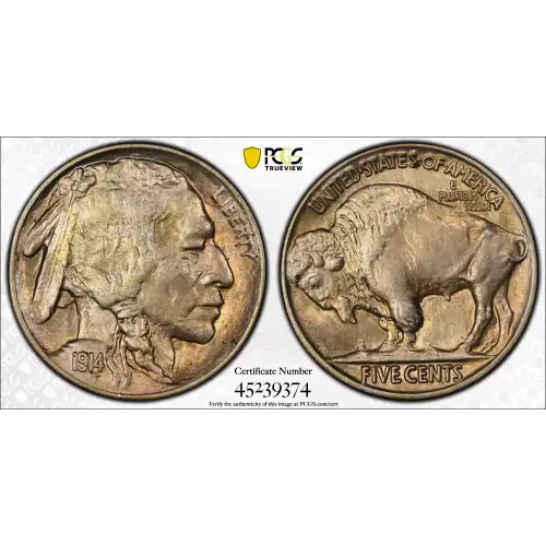 Nickel Five Cent Pieces-Indian Head or Buffalo (2)