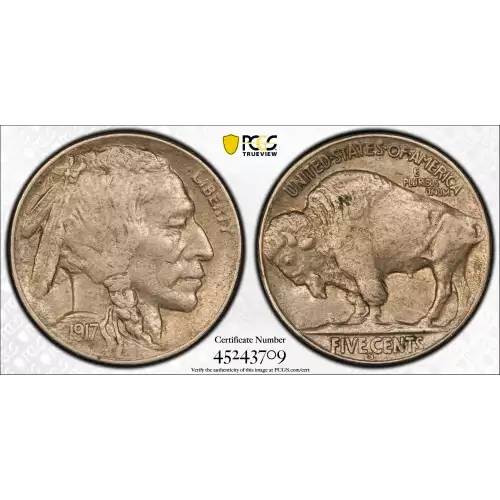 Nickel Five Cent Pieces-Indian Head or Buffalo (2)