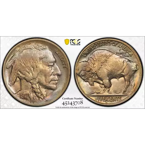 Nickel Five Cent Pieces-Indian Head or Buffalo (2)