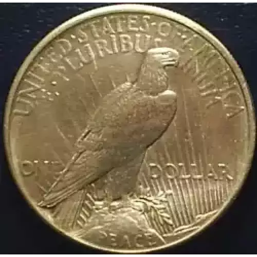 Peace Silver Dollar (3)