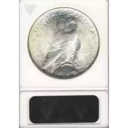 Peace Silver Dollar (3)