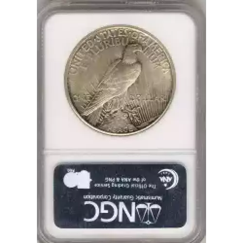 Peace Silver Dollar (3)