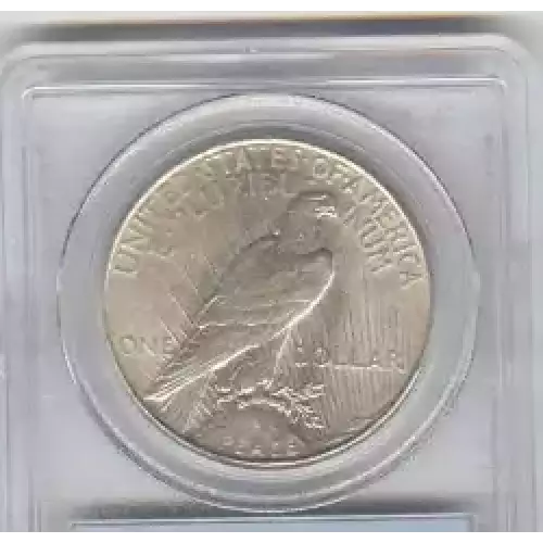 Peace Silver Dollar (3)