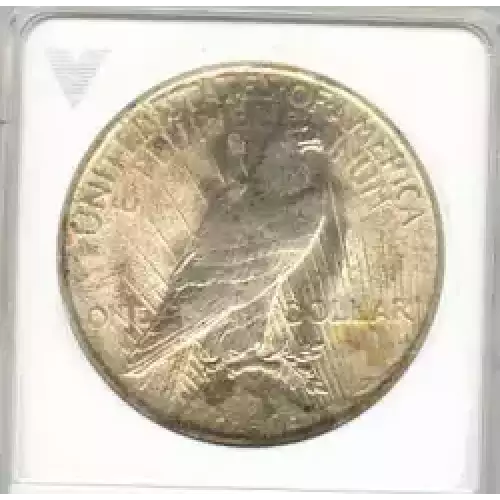 Peace Silver Dollar (3)