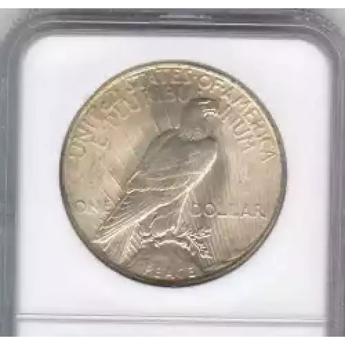 Peace Silver Dollar (3)