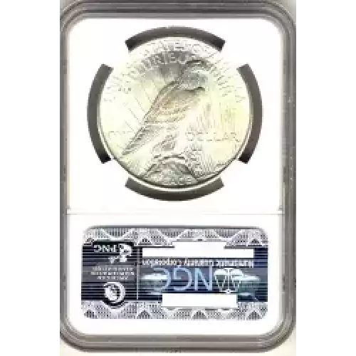 Peace Silver Dollar (3)