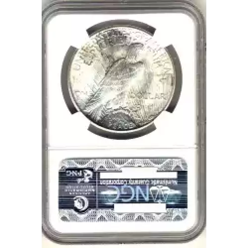 Peace Silver Dollar (3)