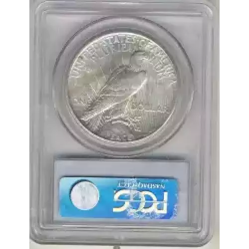 Peace Silver Dollar (3)