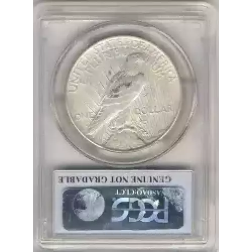 Peace Silver Dollar (3)