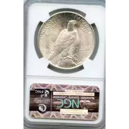 Peace Silver Dollar (3)