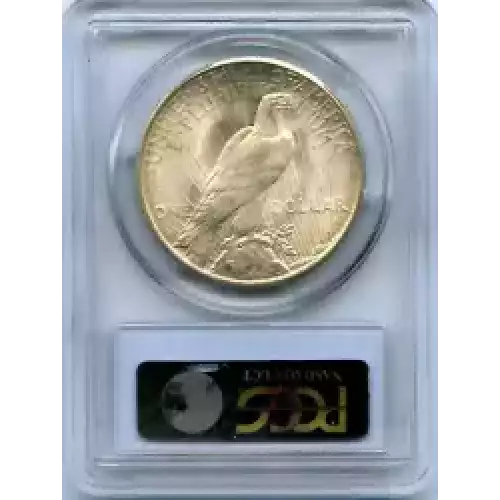 Peace Silver Dollar (3)