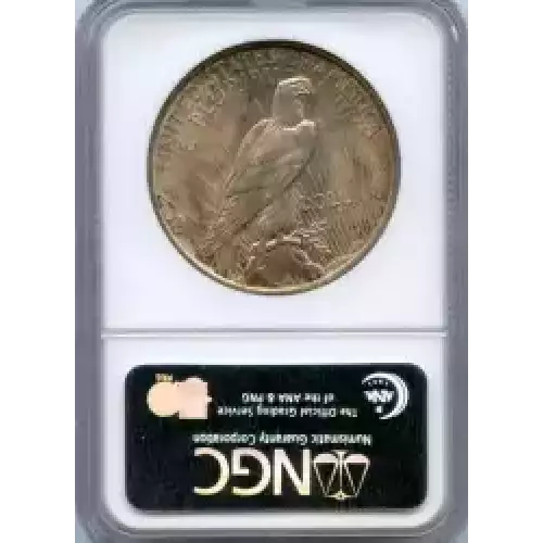 Peace Silver Dollar (3)