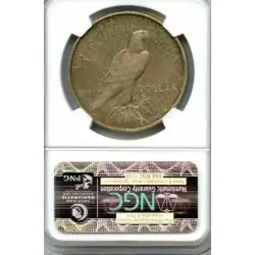 Peace Silver Dollar (3)